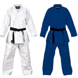 Revgear Gis