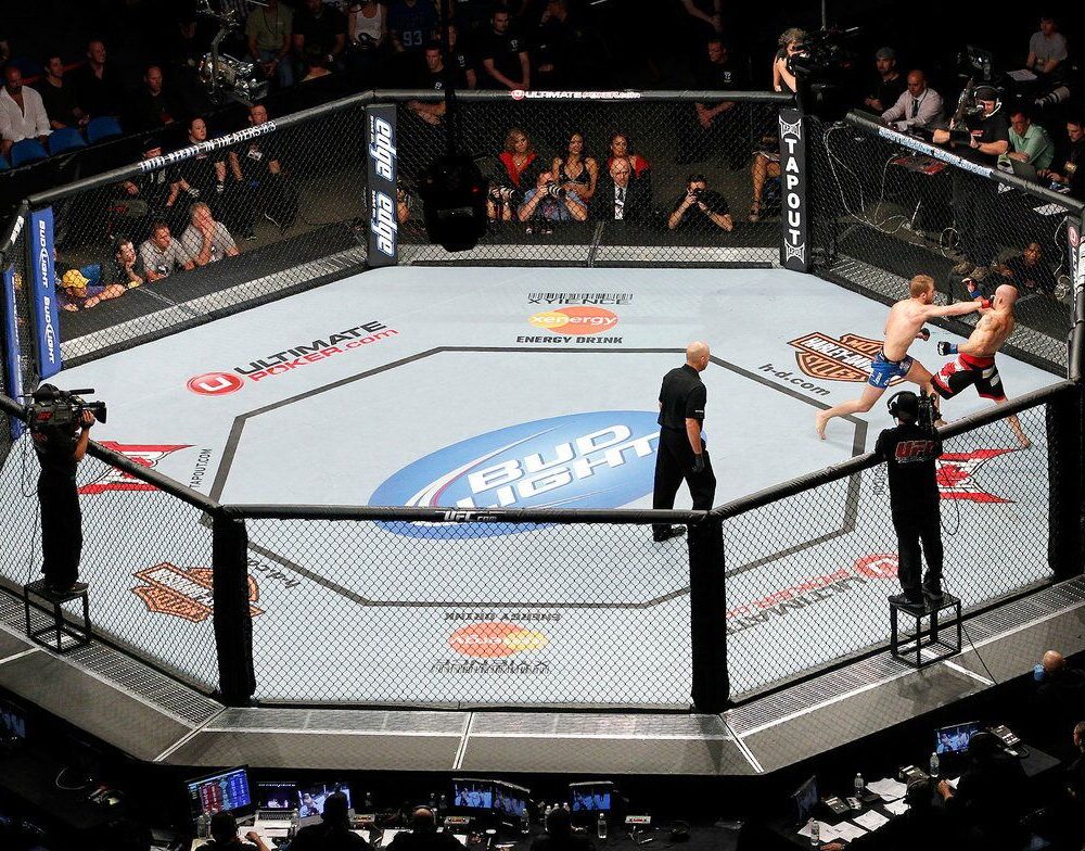 PRO USA 30' X 30' Official PRO Competition Octagon MMA Cage Complete