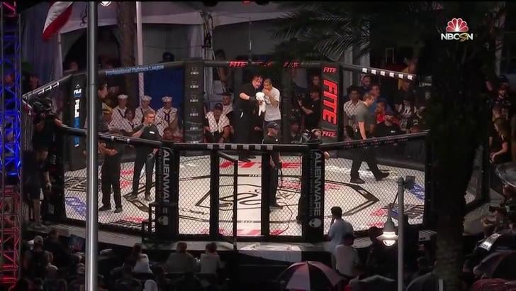 The Professional Grade DECAGON Official MMA Cage