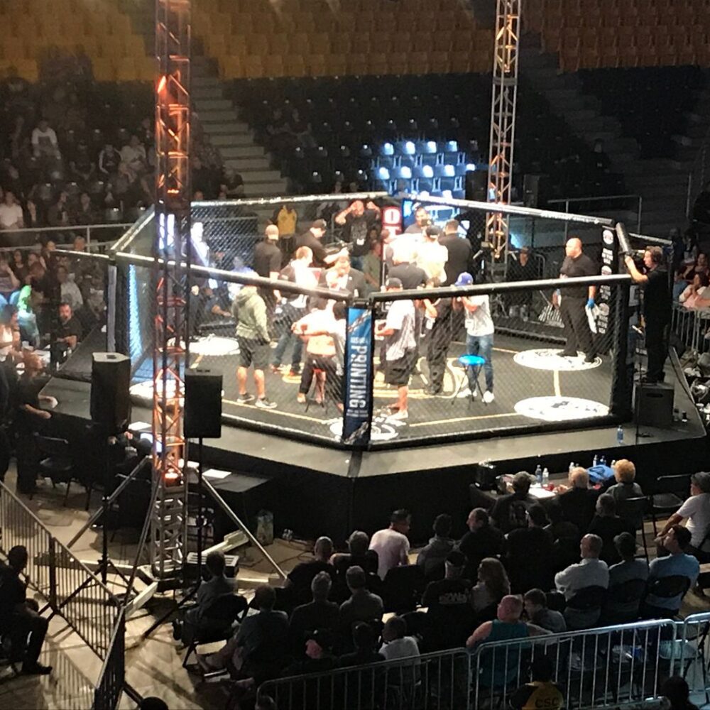 PRO USA Ultimate 30x30 Foot MMA Cage with Catwalk