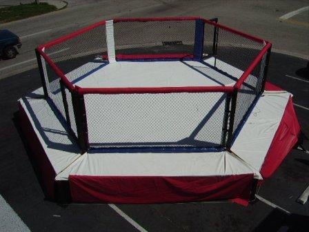 Professional MMA Elevated Hexagon Cage