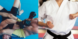 MMA / Martial Arts