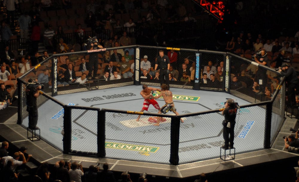 PRO USA 30' X 30' Official Octagon MMA Cage Complete